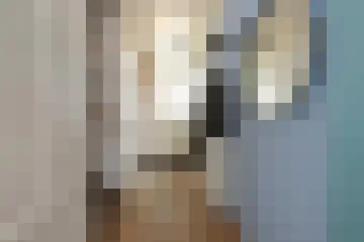 Alsemhof 11 Wierden thumbnail 4