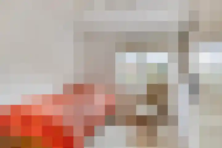 Alsemhof 12 Oosterhout thumbnail 12