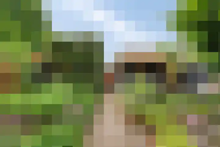 Alsemhof 12 Oosterhout thumbnail 20