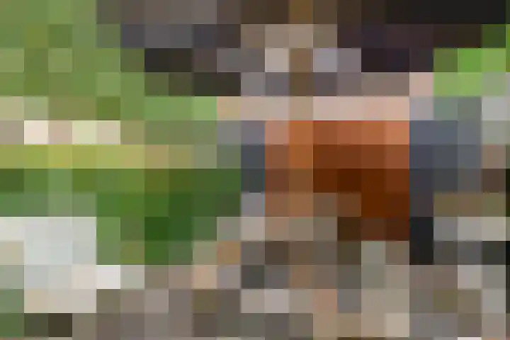 Alsemhof 12 Oosterhout thumbnail 21