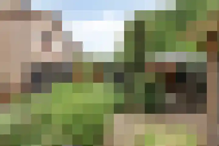 Alsemhof 12 Oosterhout thumbnail 22