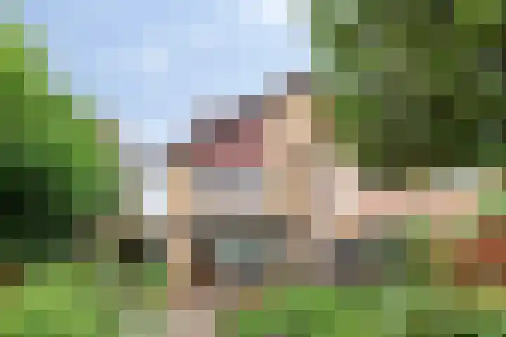 Alsemhof 12 Oosterhout thumbnail 23