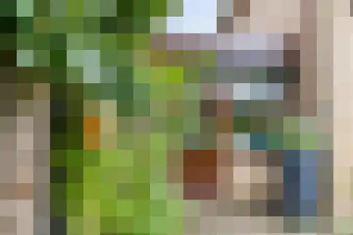 Alsemhof 12 Oosterhout thumbnail 25