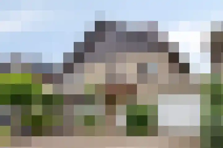 Alsemhof 12 Oosterhout thumbnail 26