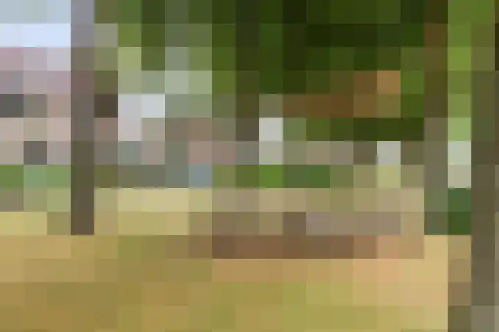 Alsemhof 12 Oosterhout thumbnail 28