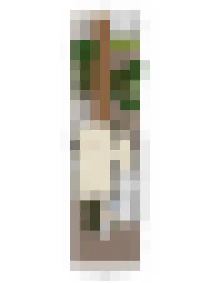 Alsemhof 12 Oosterhout thumbnail 33
