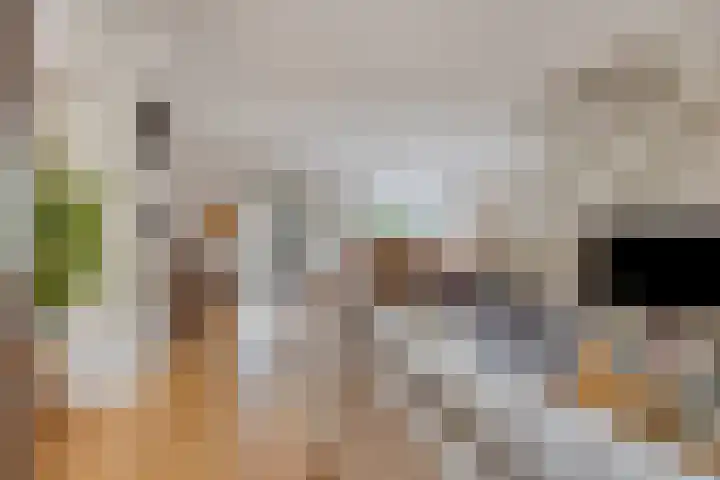Alsemhof 12 Oosterhout thumbnail 5