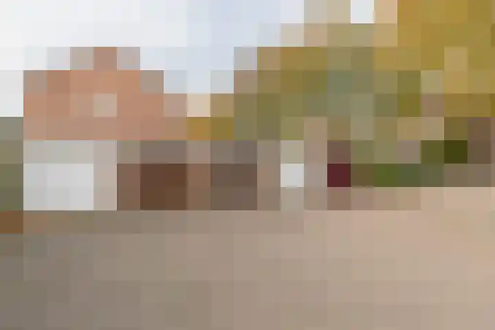 Alsemhof 19 Barendrecht thumbnail 36