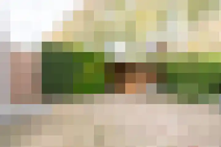 Alsemhof 19 Barendrecht thumbnail 38