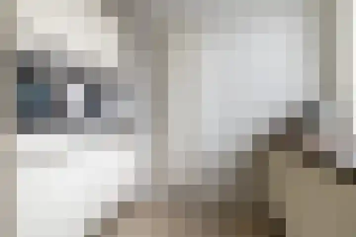 Alsemhof 25 Oosterhout thumbnail 13