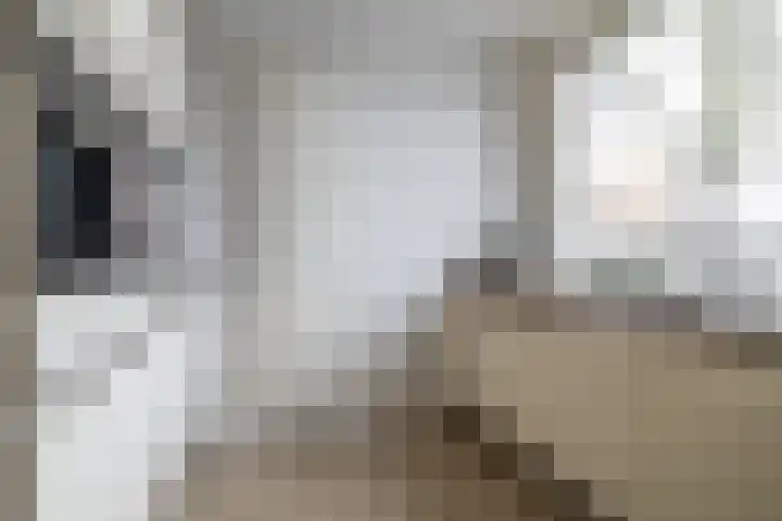Alsemhof 25 Oosterhout thumbnail 14