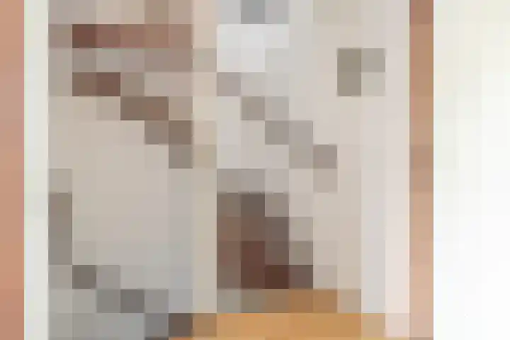 Alsemhof 25 Oosterhout thumbnail 15