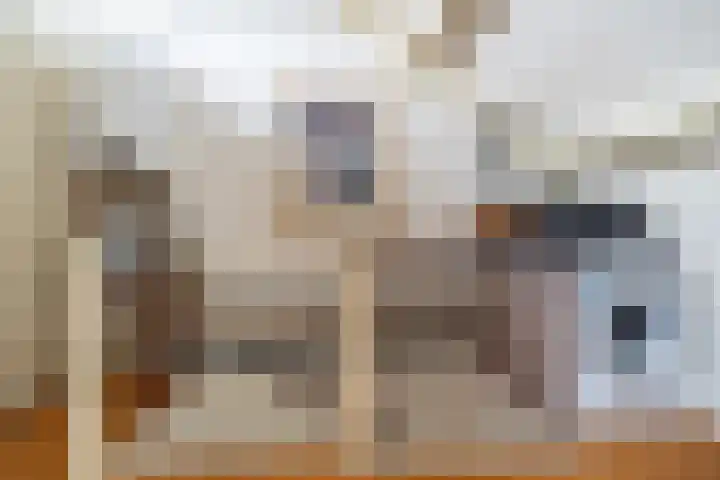 Alsemhof 25 Oosterhout thumbnail 23