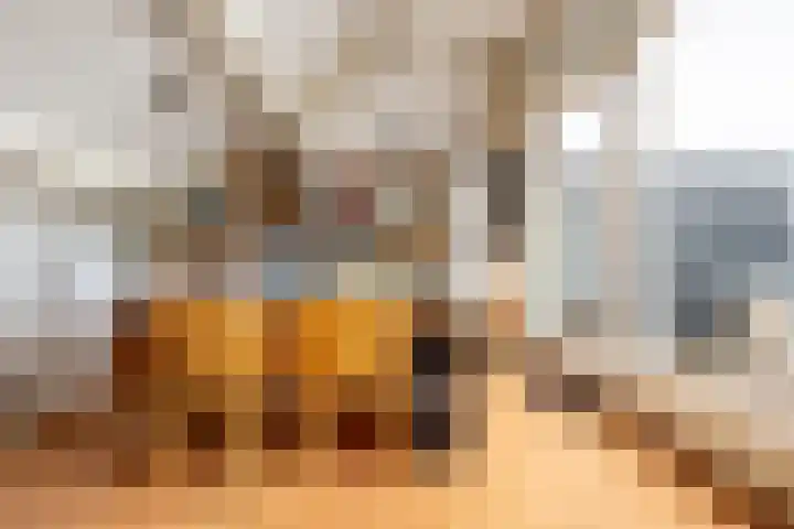 Alsemhof 25 Oosterhout thumbnail 24