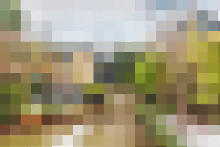 Alsemhof 25 Oosterhout thumbnail 31