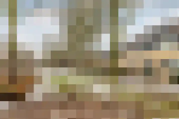 Alsemhof 25 Oosterhout thumbnail 34