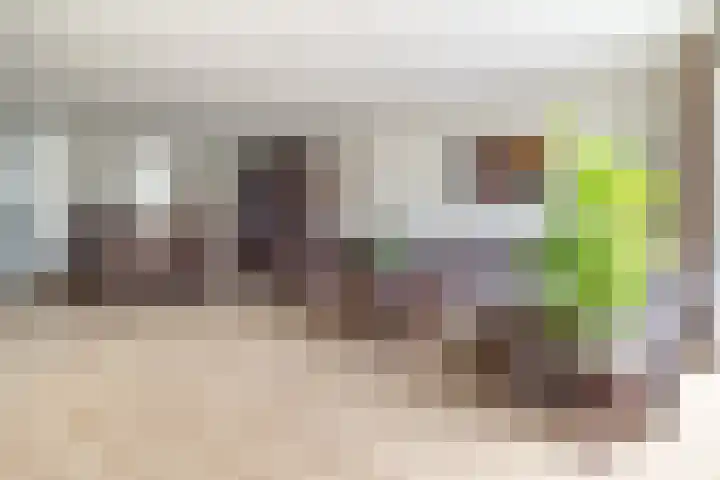Alsemhof 25 Oosterhout thumbnail 6