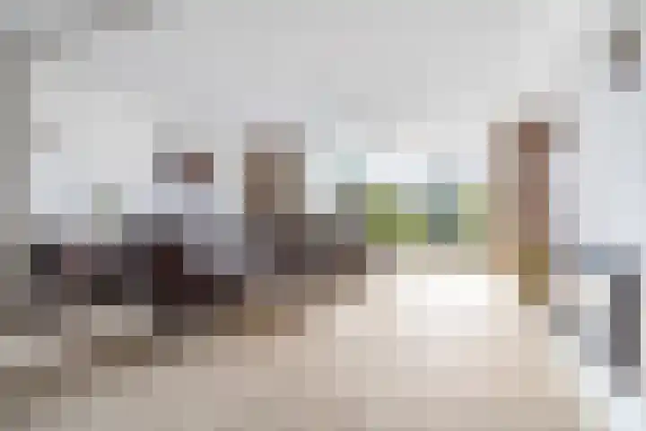 Alsemhof 25 Oosterhout thumbnail 7