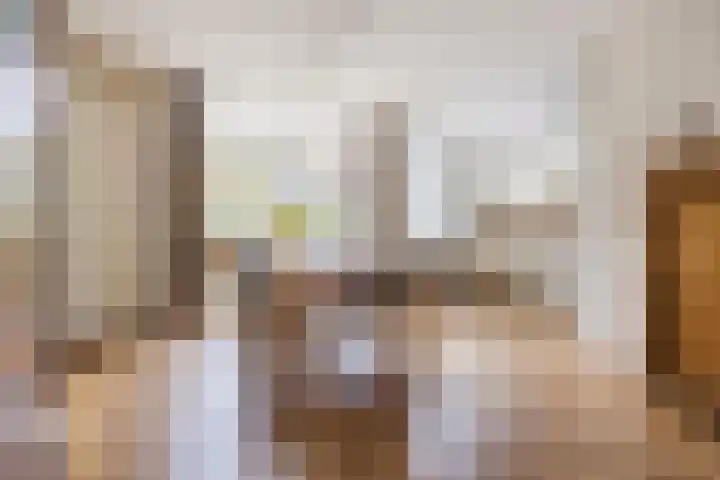 Alsemhof 9 Oosterhout thumbnail 13