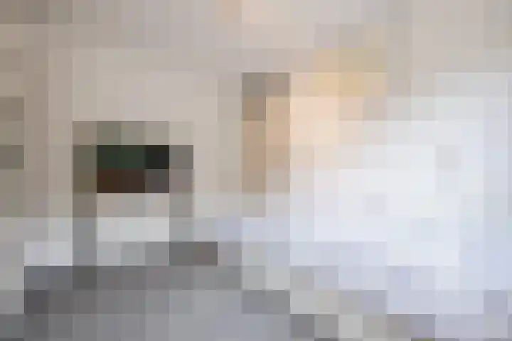 Alsemhof 9 Oosterhout thumbnail 23