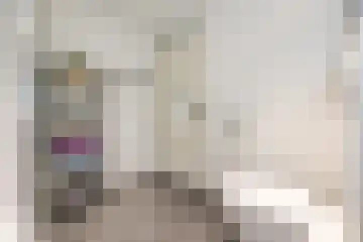Alsemhof 9 Oosterhout thumbnail 27