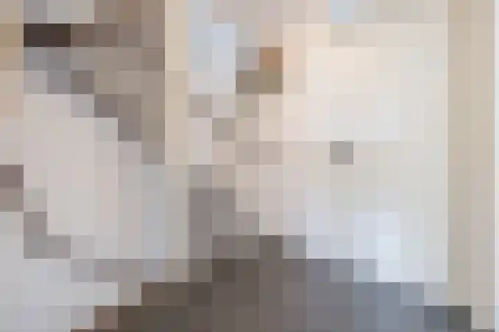 Alsemhof 9 Oosterhout thumbnail 28