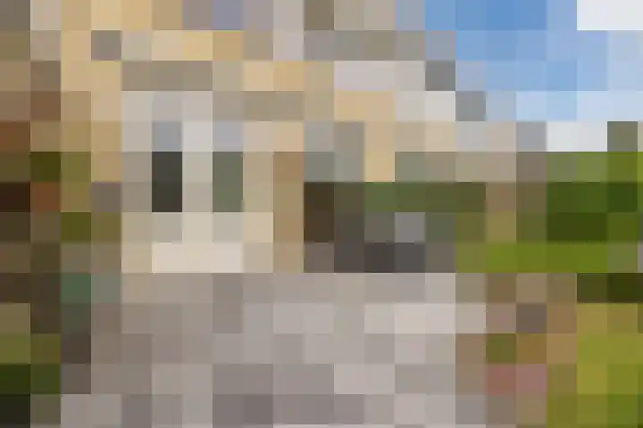 Alsemhof 9 Oosterhout thumbnail 34