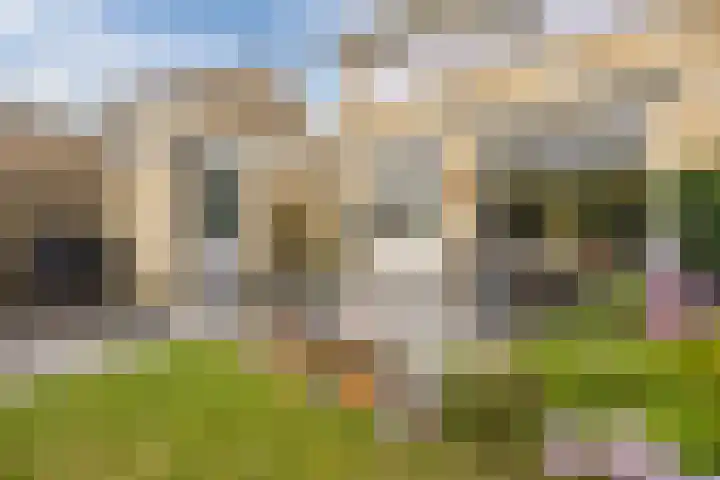 Alsemhof 9 Oosterhout thumbnail 35