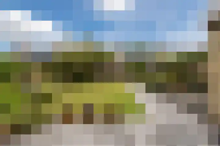 Alsemhof 9 Oosterhout thumbnail 36