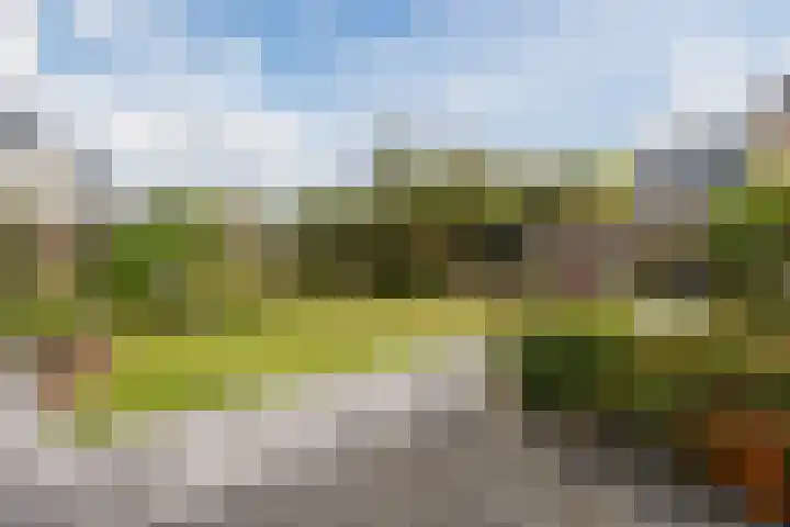 Alsemhof 9 Oosterhout thumbnail 37