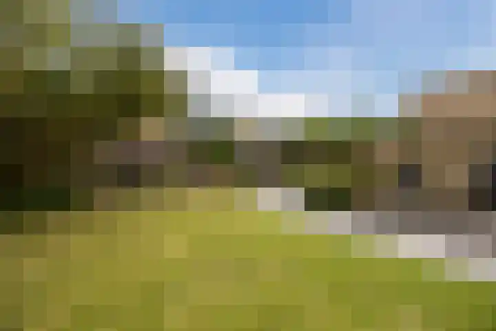 Alsemhof 9 Oosterhout thumbnail 39