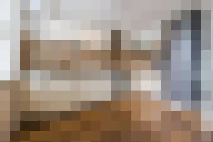 Alsemhof 9 Oosterhout thumbnail 4