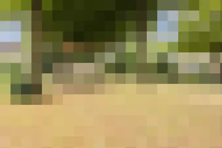 Alsemhof 9 Oosterhout thumbnail 44