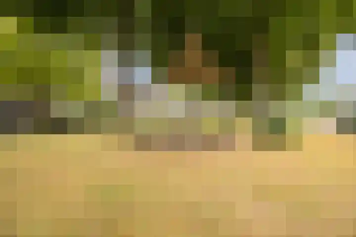 Alsemhof 9 Oosterhout thumbnail 45