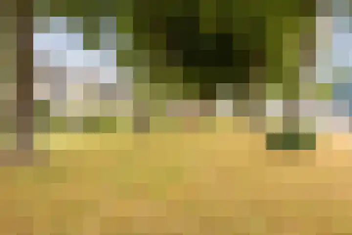 Alsemhof 9 Oosterhout thumbnail 46