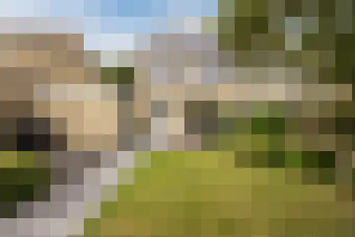 Alsemhof 9 Oosterhout thumbnail 6