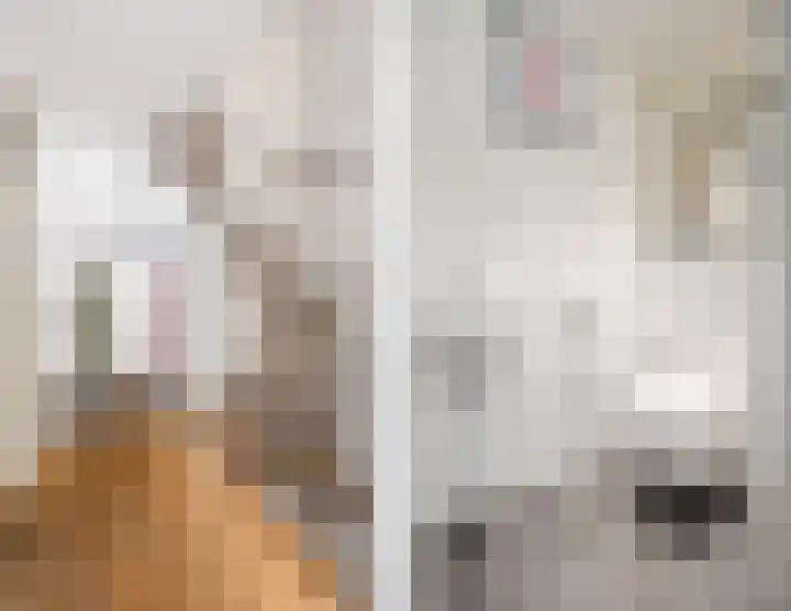 Alsemhof 9 Oosterhout thumbnail 8