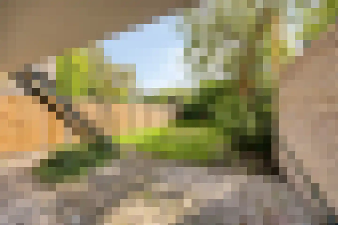 Alsemlaan 18 Waalre thumbnail 10