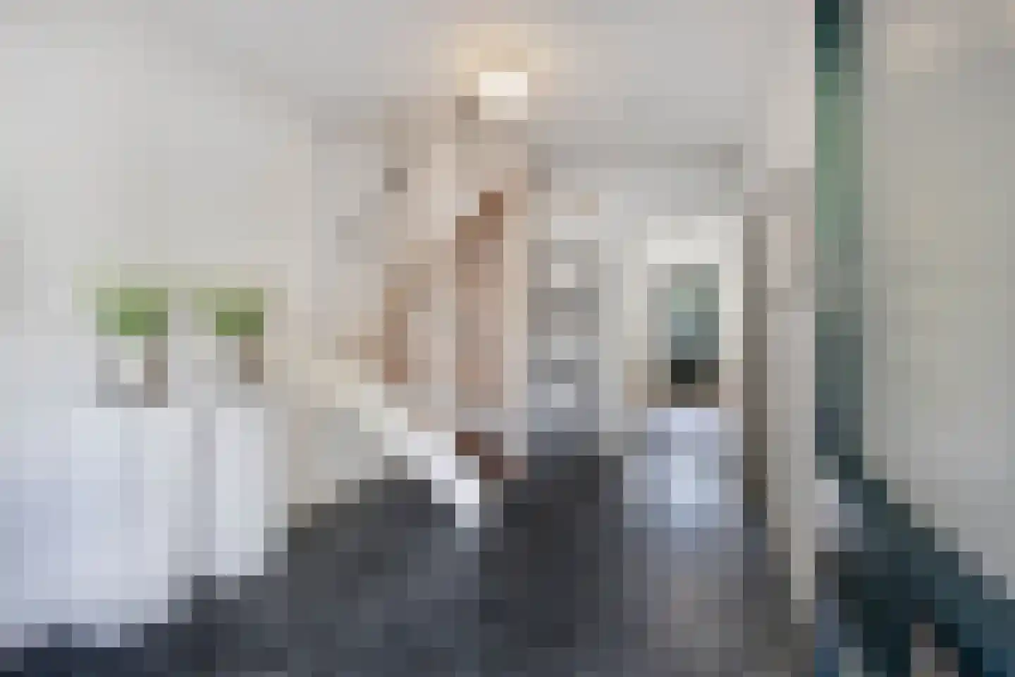 Alsemlaan 18 Waalre thumbnail 13