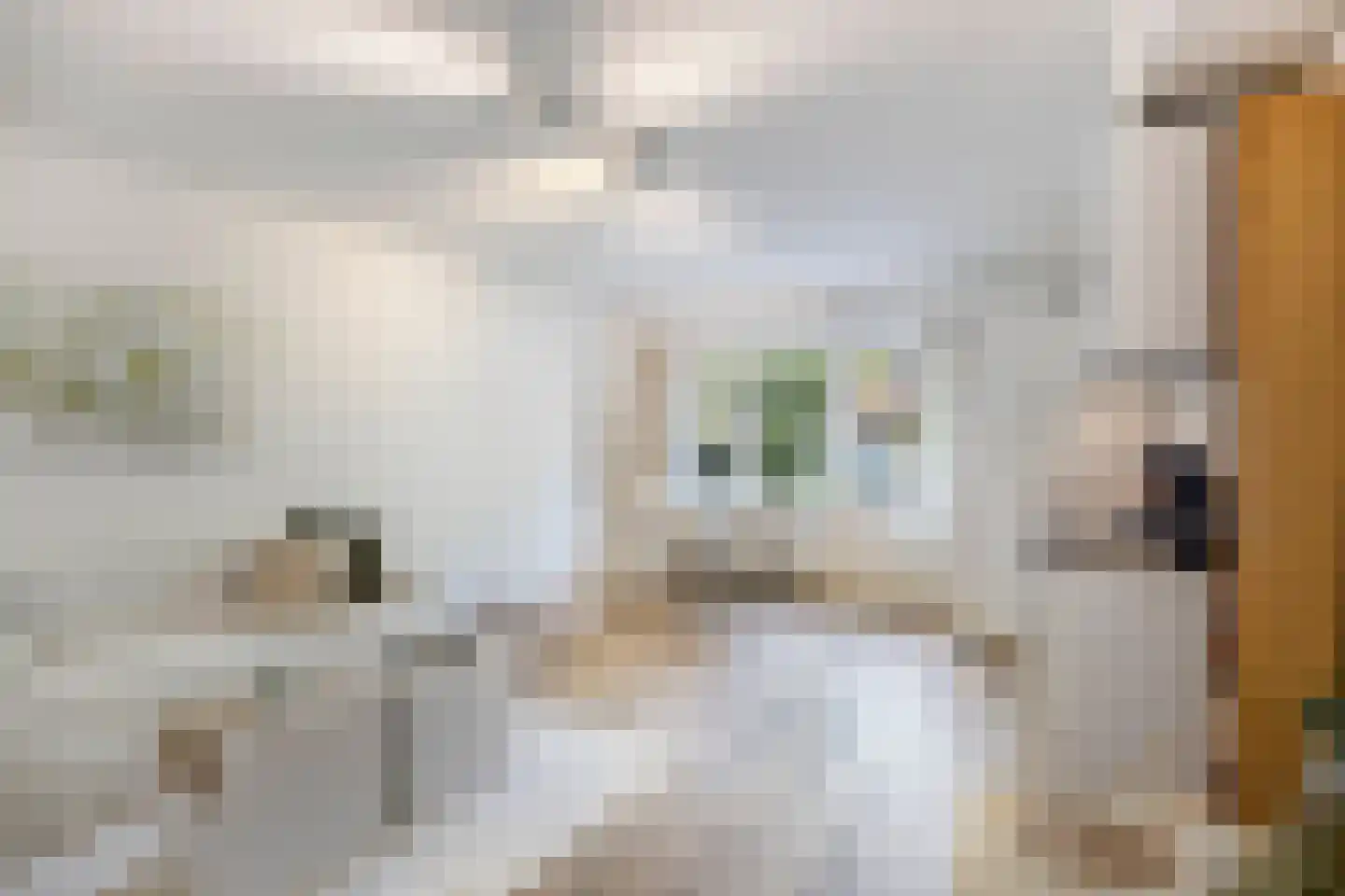 Alsemlaan 18 Waalre thumbnail 14