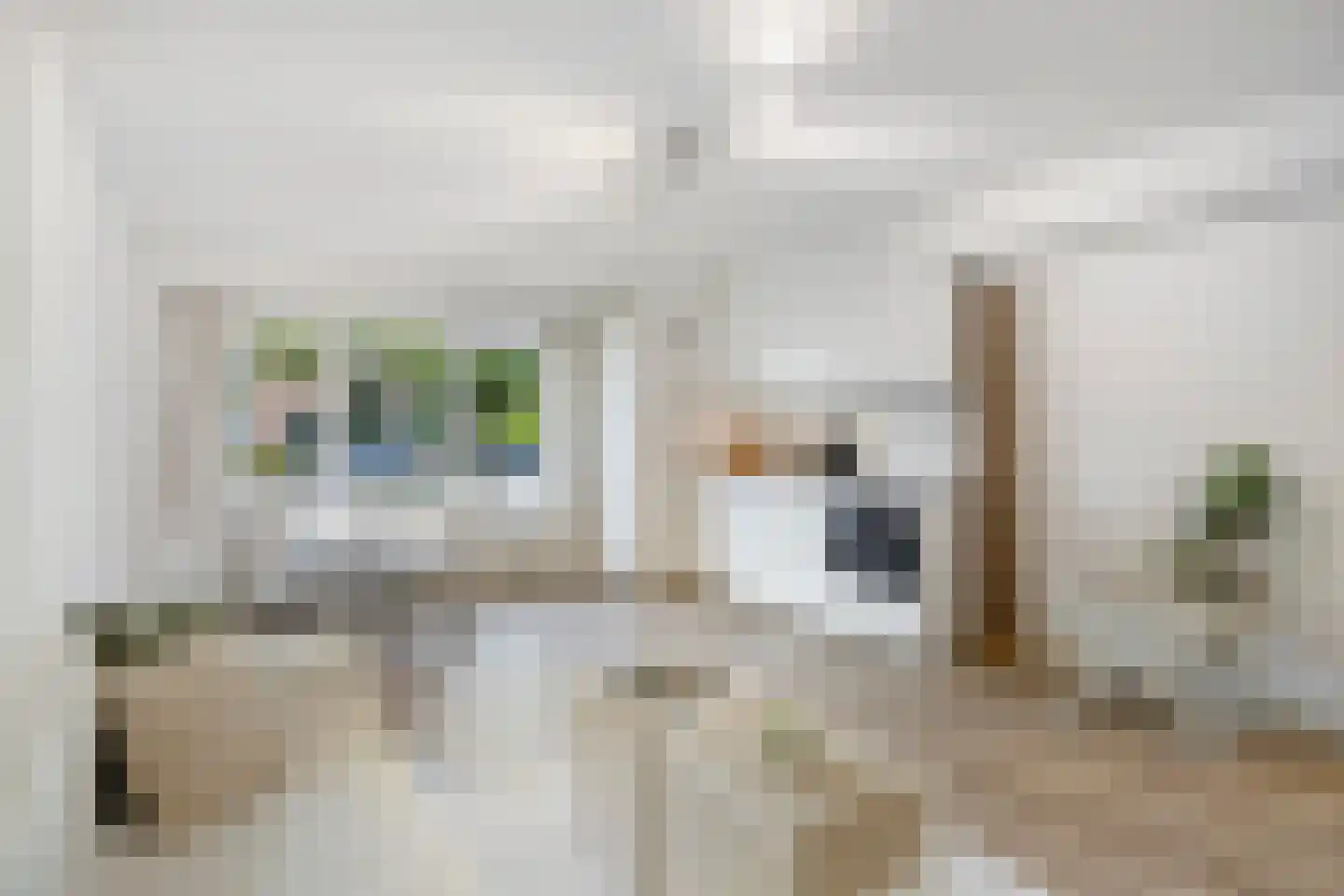 Alsemlaan 18 Waalre thumbnail 15