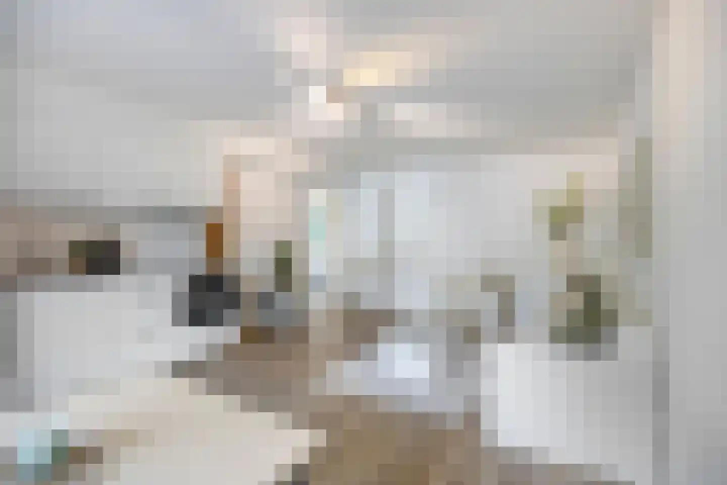 Alsemlaan 18 Waalre thumbnail 19
