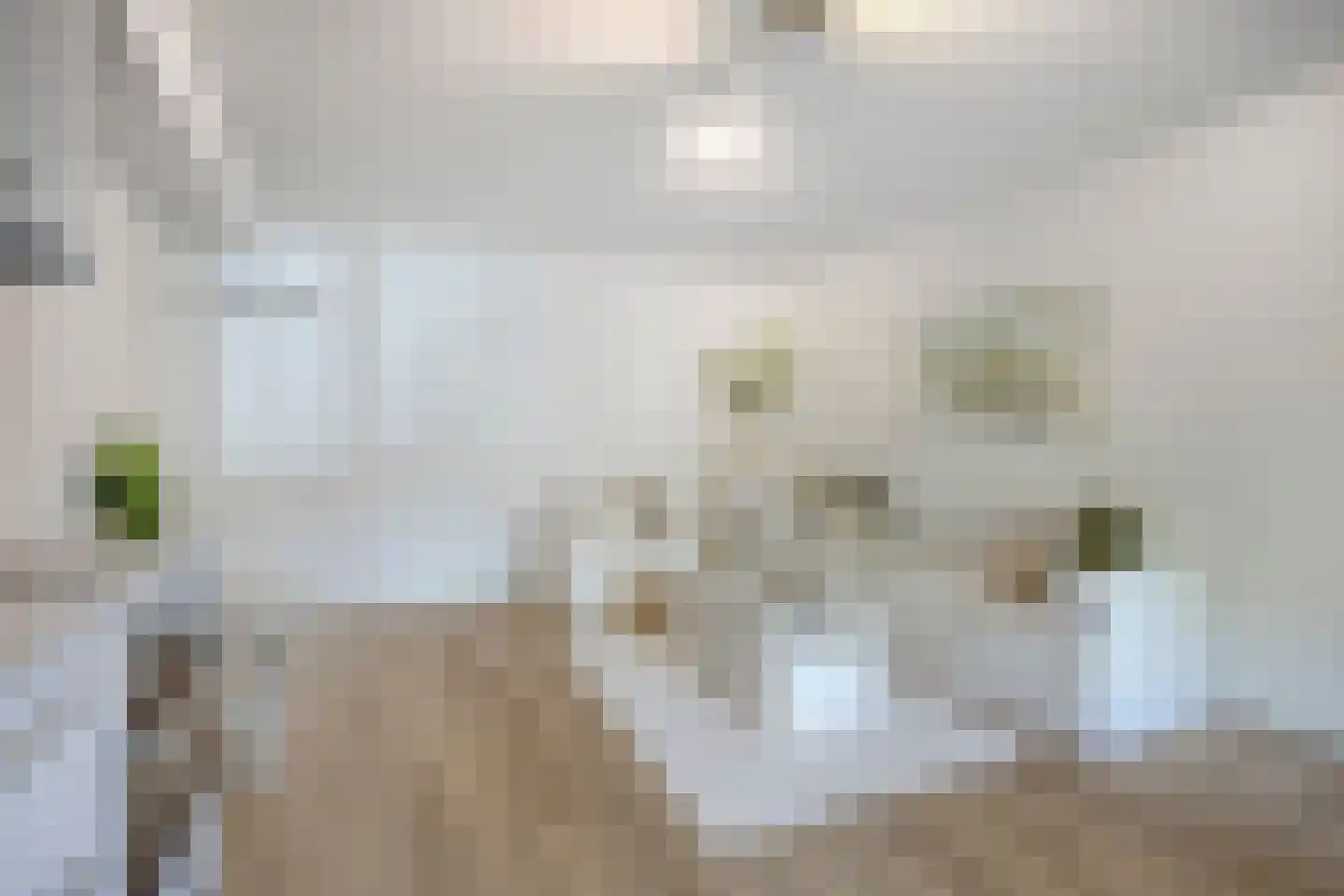 Alsemlaan 18 Waalre thumbnail 20