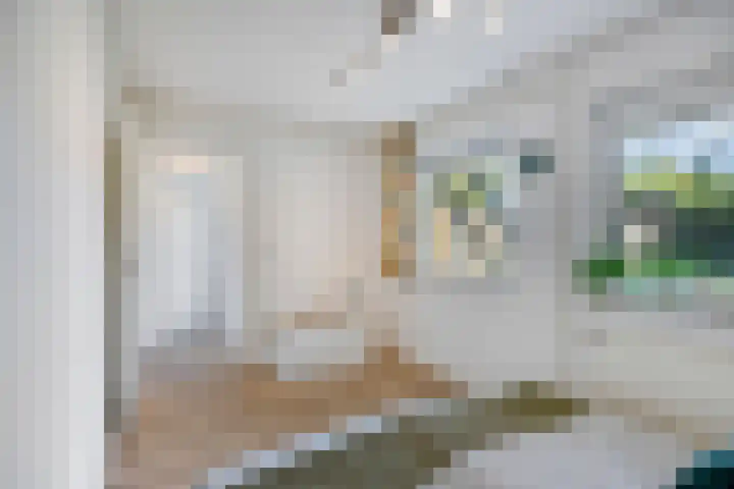 Alsemlaan 18 Waalre thumbnail 23