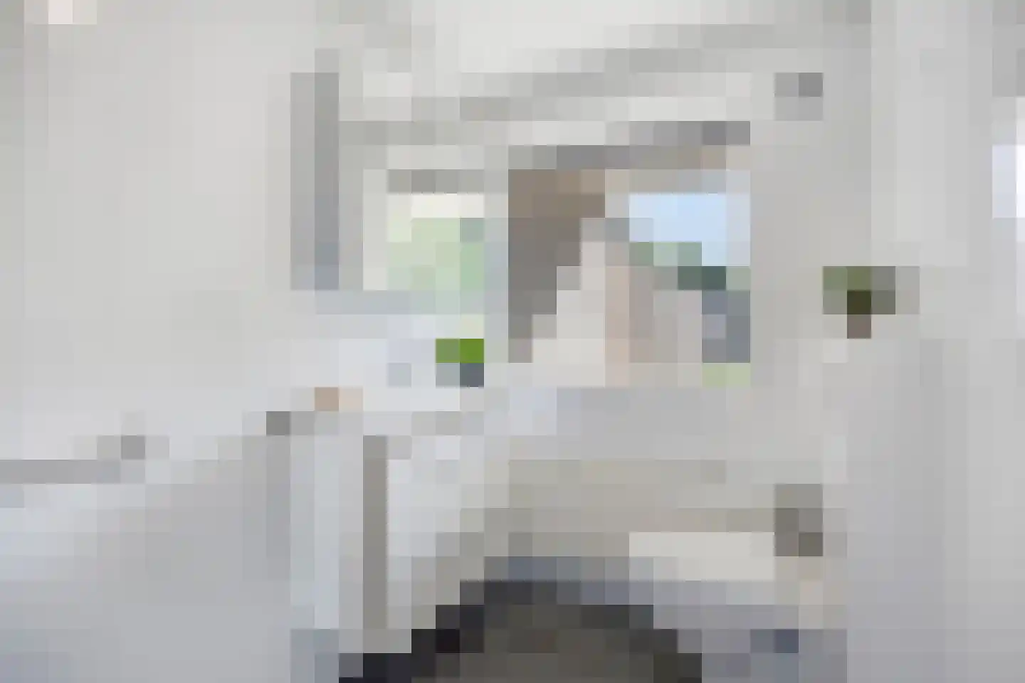 Alsemlaan 18 Waalre thumbnail 24