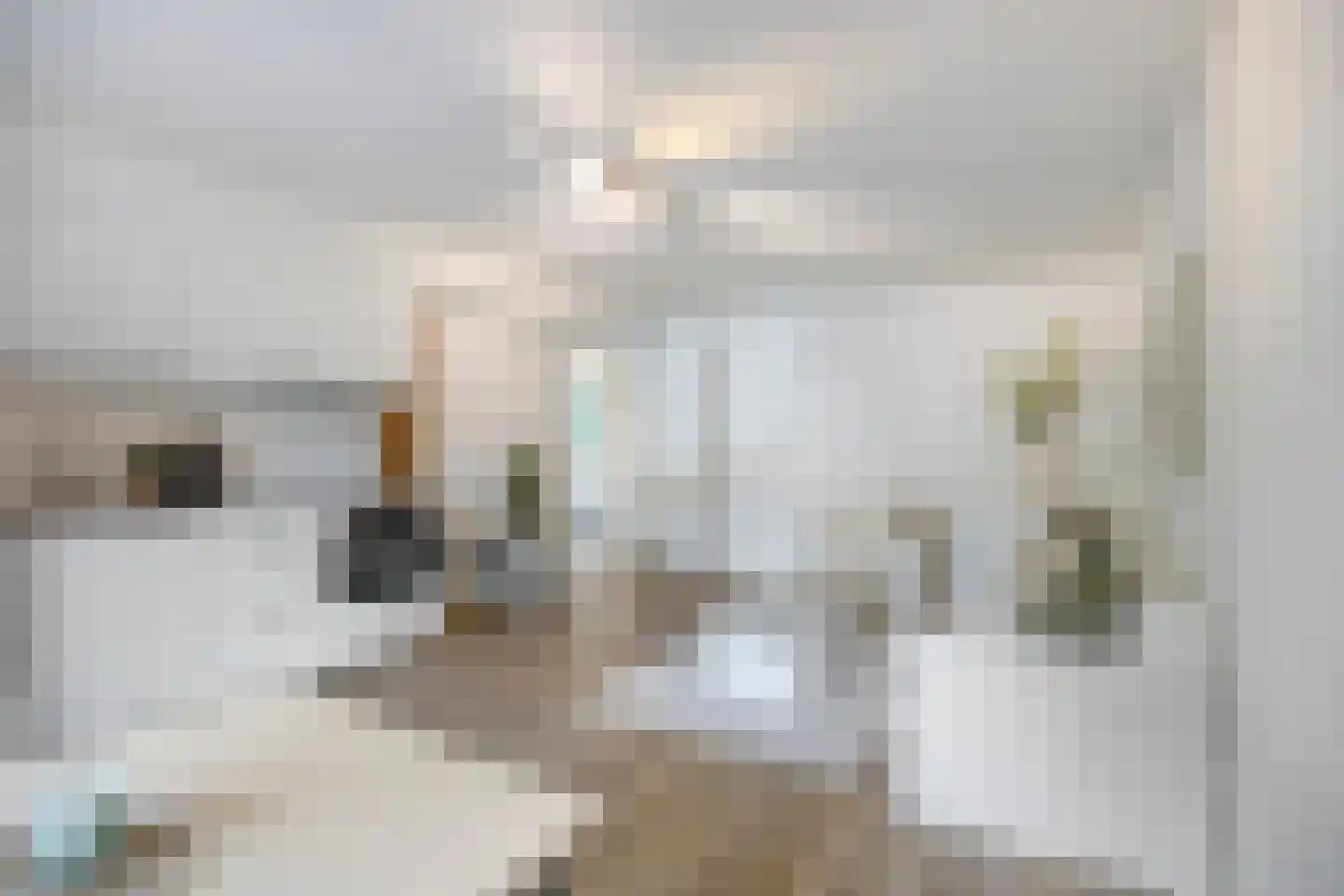 Alsemlaan 18 Waalre thumbnail 4