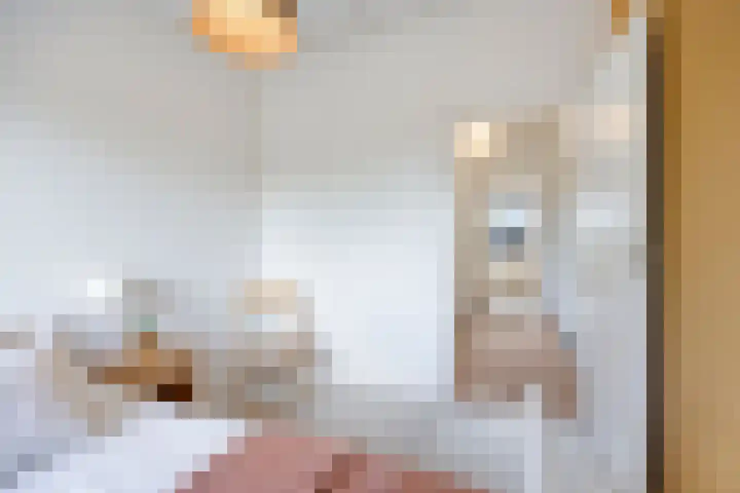 Alsemlaan 18 Waalre thumbnail 49