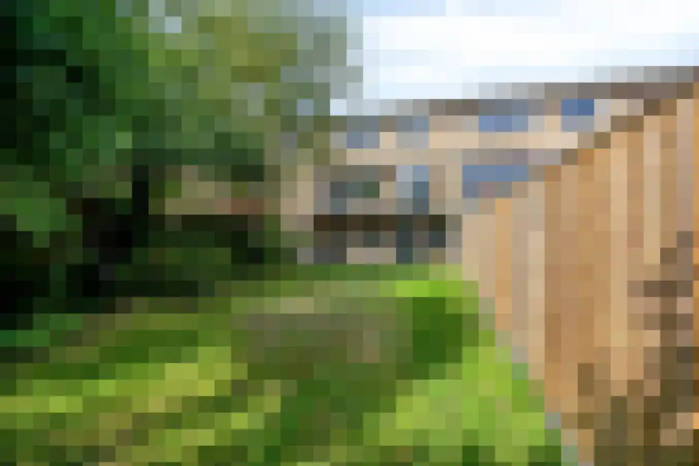 Alsemlaan 18 Waalre thumbnail 53