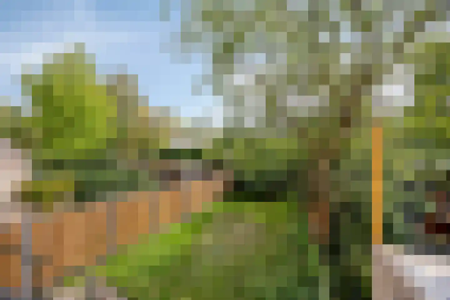 Alsemlaan 18 Waalre thumbnail 55