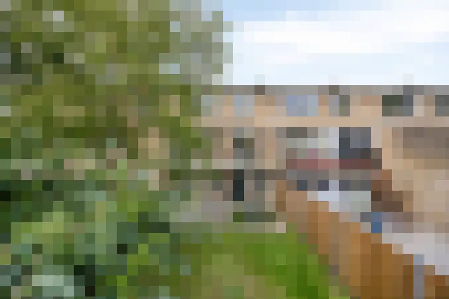 Alsemlaan 18 Waalre thumbnail 57